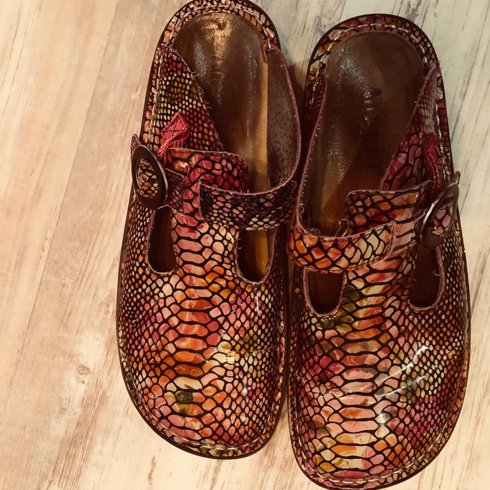 Algeria Clogs